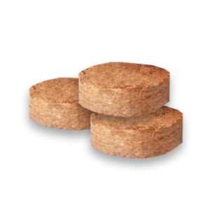 Disk